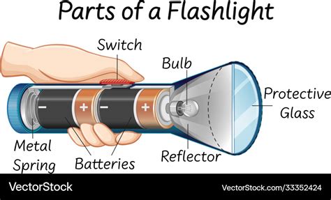 Parts a flashlight Royalty Free Vector Image - VectorStock