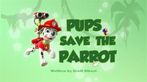 Marshall/Gallery/Pups Save the Parrot | PAW Patrol Wiki | Fandom