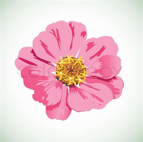 Delicate flower bloom vector | Stock vector | Colourbox