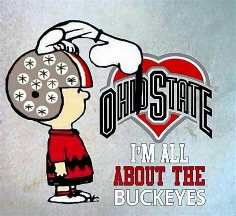 Pin by Berdie Creech on Cincinnati/Ohio State memes | Ohio buckeyes ...