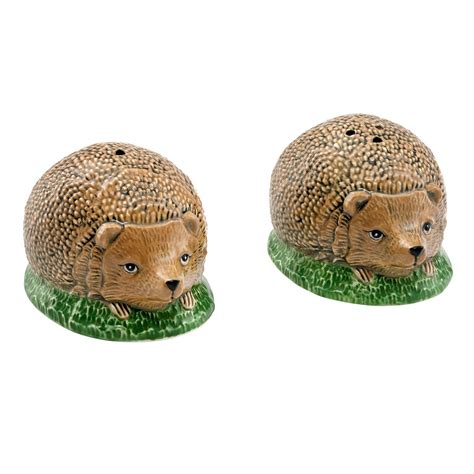 Hedgehog Salt & Pepper | Cooking and Dining | Hedgehog, Salt and pepper, Whimsy