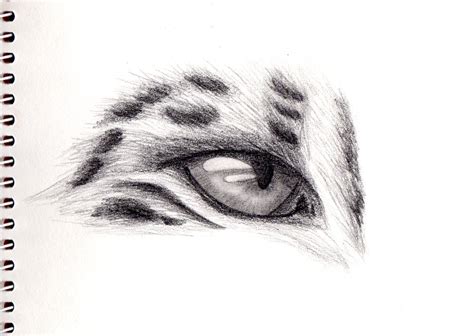 Snow leopard's eye by Pacheon on DeviantArt