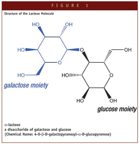 Lactose in Pharmaceutical Applications