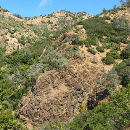 Mount Diablo State Park - Lonely Hiker