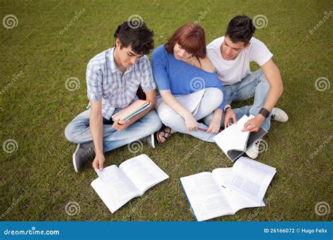 Friends studying stock photo. Image of beautiful, happy - 26166072