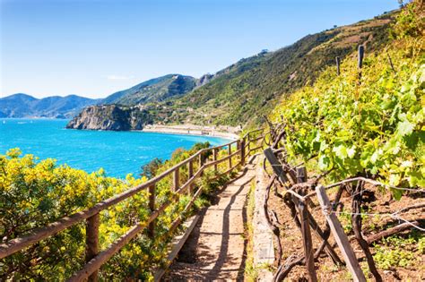 Cinque Terre Beaches | Italy's Beautiful Vacations | LivItaly