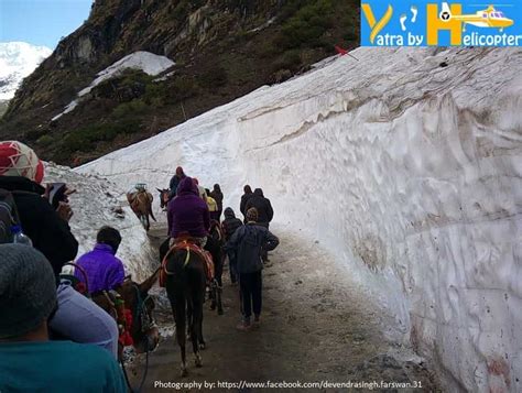 A Complete Trek Guide for Kedarnath Yatra - Kedarnath Trekking Tips