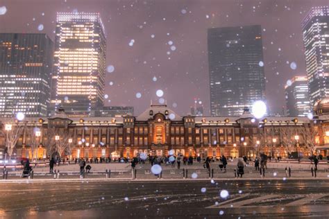 10 Best Things to Do in Tokyo in Winter | Japan Wonder Travel Blog