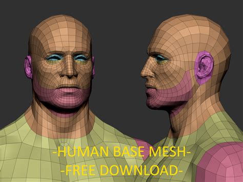 ArtStation - Human base mesh - Free download | Resources