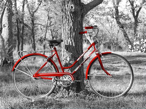 Red Bicycle Photograph by James Granberry