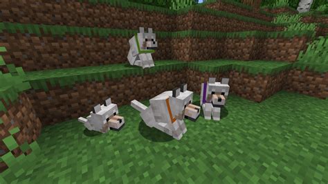 How to Tame a Wolf in Minecraft (Easy Guide) | Beebom