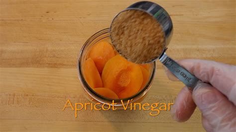 Apricot Vinegar - YouTube