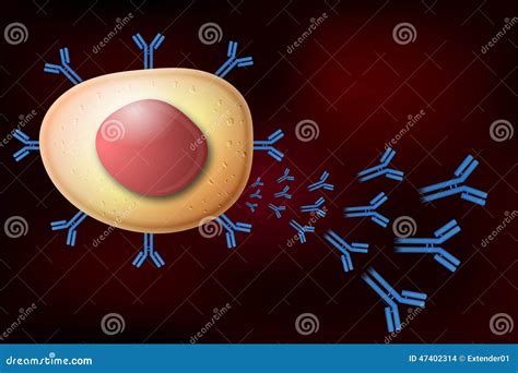 B Cell Lymphocyte Producing Antibodies Stock Illustration - Illustration of clonality, immunity ...