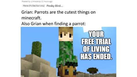 Hermitcraft memes I found on the internet - grian Memes i will ...