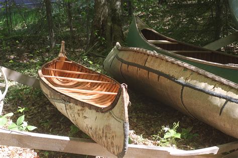 Building a birch bark canoe, collecting materials - Robin Wood