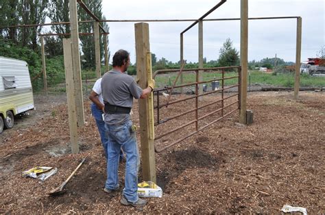 How To Build A Corral For Cattle - Design Talk