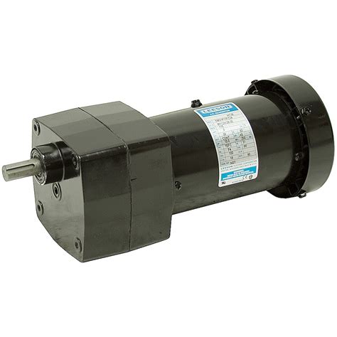 19 RPM 115 Volt AC 0.06 HP 100 in-lb Leeson Gearmotor M1125128.00 | AC Gearmotors | AC ...