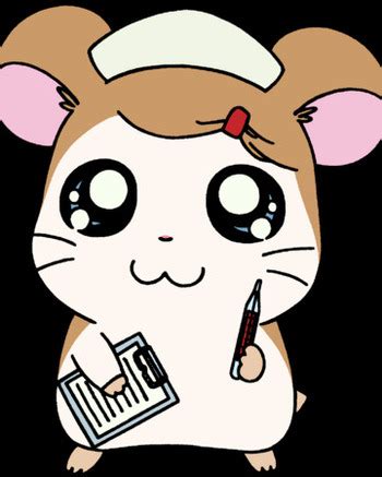 Characters in Hamtaro - TV Tropes