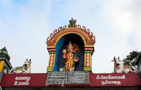 Tamilnadu Tourism: Poomparai Kuzhanthai Velappar Temple, Kodaikanal