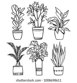 Vector Set House Plants Pots Outline Stock Vector (Royalty Free) 1008698611 | Shutterstock