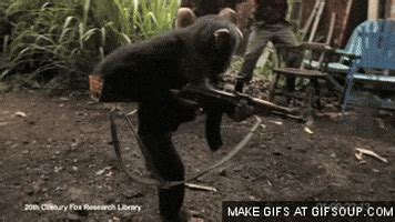 Monkey GIF - Find & Share on GIPHY