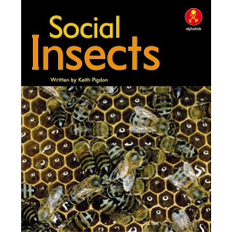 Social Insects