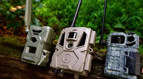 Capture the Beauty of Nature with the Best Trail Cameras