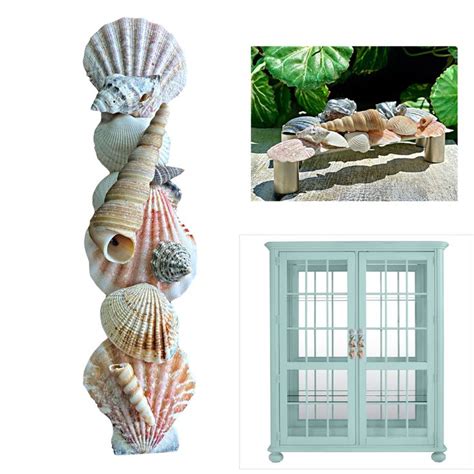 Natural Seashell Cabinet Pulls | Etsy in 2021 | Fun decor, Unique cabinet pulls, Nautical decor