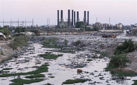 UN breathes life into once-polluted Gaza wetland | The Times of Israel