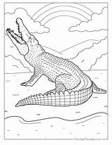 25 Crocodile Coloring Pages Free PDF Printables sketch template