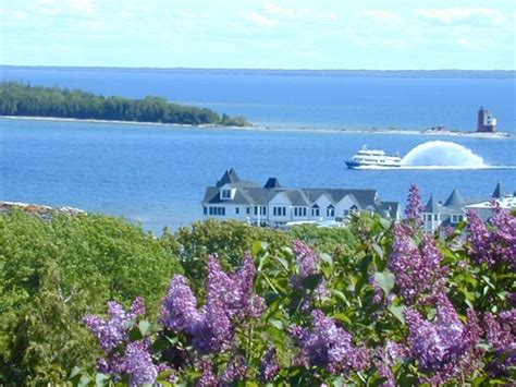 Mackinac Island Lilac Festival – June 7 – 16, 2024 - News Up North ...