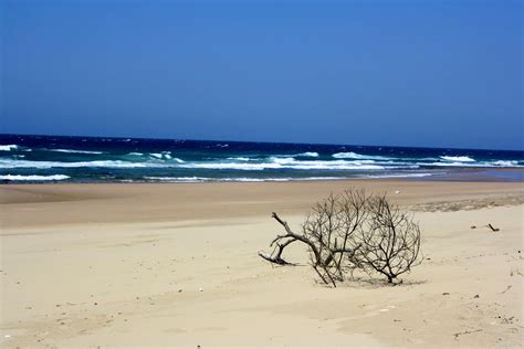 Bilene - Playa de Mozambique. | Ocean waves, Mozambique, Ocean