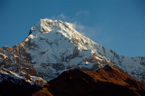 Mountain Peak Annapurna South at Sunrise in Himalayas Nepal Stock Image - Image of nepal, cold ...