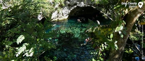 Snorkeling at Gran Cenote, Tulum | Snorkeling the Mayan Riviera