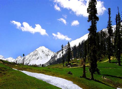 World Beautifull Places: swat valley pakistan