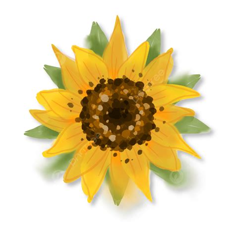 Sunflowers Stickers Clipart Vector, Loose Watercolor Sunflower Clipart ...