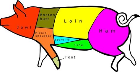 Learn Where Your Pork Comes From: a Pork Chart | Braised pork, Pork ...