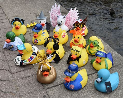 Quick Quack Facts posted for return of Riverwalk Duck Race on Aug. 14 - Positively Naperville