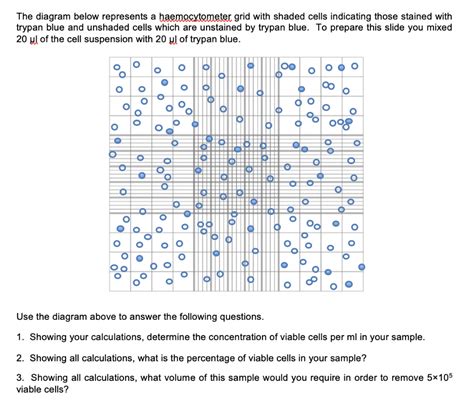 Solved The diagram below represents a haemocytometer grid | Chegg.com