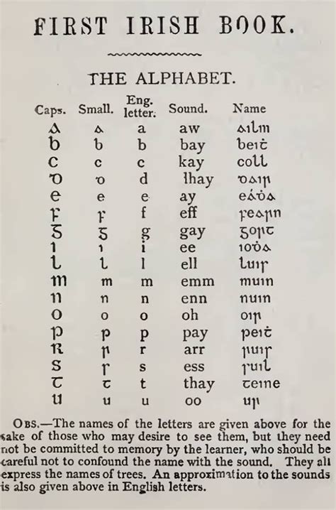 Irish Alphabet Irish Gaelic Language, Gaelic Words, Scottish Gaelic ...