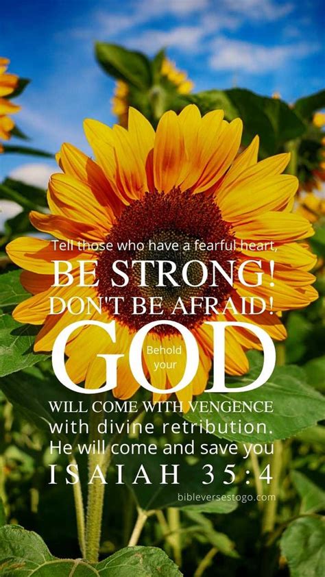 Sunflowers Isaiah 35:4 Phone Wallpaper - FREE - Bible Verses To Go