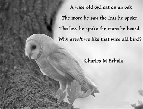 Wise old owl | Owl quotes, Wisdom quotes, Fear quotes