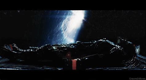 Aliens Vs Predator Film GIF - Find & Share on GIPHY