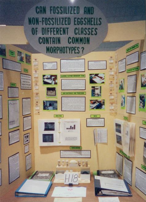 Mister Science Fair.com | Display Boards