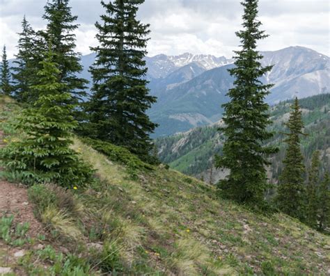 Hiking Gems in Western Colorado - Crazy About Colorado