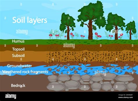 Soil layers. Diagram for layer of soil. Soil scheme with grass, dirt, groundwater and stones ...