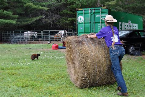 A look inside hobby farm life | Hello Homestead