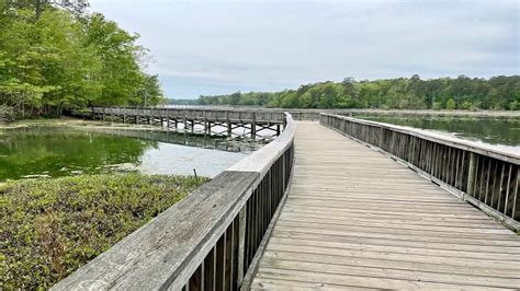 White Oak Nature Trail: A Wetlands Hike at Newport News Park