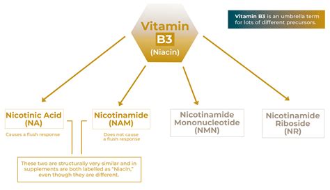 NAD+ Repletion With Niacin Counteracts Cancer Cachexia – Anti Cachexia (Wasting) – Discussion Board