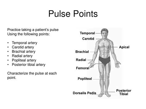 PPT - Assessing Heart Rate & Blood Pressure PowerPoint Presentation ...